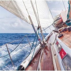 Deals ???? Sikaflex 291 I Sika Marine Sealant And Adhesive WHITE - Box Of 12 ???? 9 Deals ???? Sikaflex 291 I Sika Marine Sealant And Adhesive WHITE - Box Of 12 ???? -West System Shop unnamed file 1024